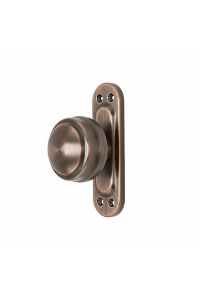 MANDAL AYNALI KAPI TOKMAĞI TOKMAK ALBİRİFİN SATEN RENK ürün görseli 1