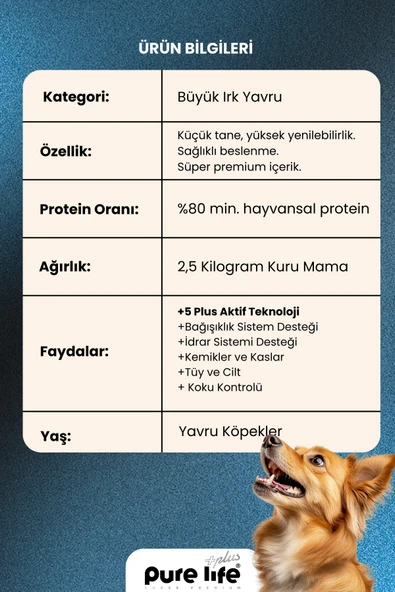 Plus Somonlu Büyük Irk Yavru Köpek Maması 2,5 Kg - Resim 2