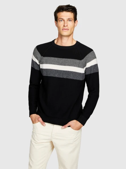 Çizgili Koton Karışımlı Kazak Erkek Renkli Kazak - 323A1198T102D - Resim 4