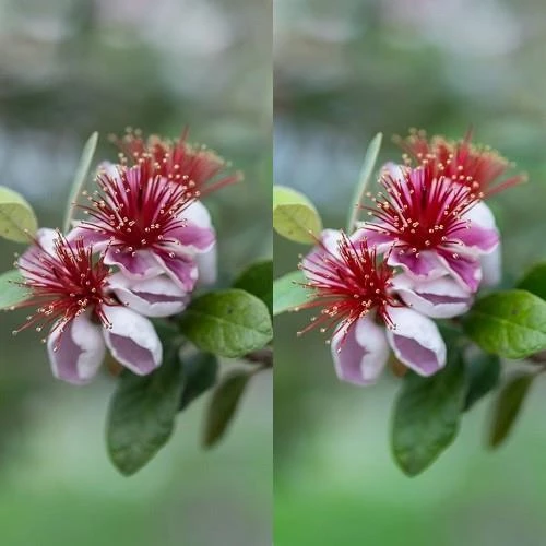 Hoya Variable Density II 82mm ND Filtre (1,5 ↔ 9 Stop) - Resim 4