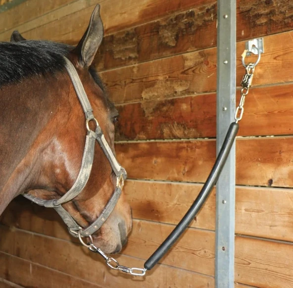 At Bağlama Halkası 4 Adet - Resim 3