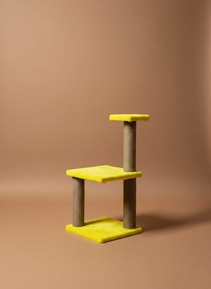 KATLI YAVRU KEDİ TIRMALAMA - Resim 2