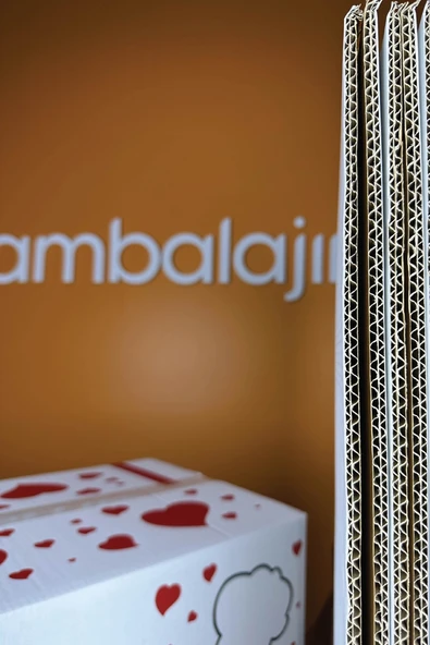 Çeyiz Kolisi Baskılı Gelin Kolisi Çift Oluklu 60x38x30 Sağlam İsim Kutucuklu - Resim 5