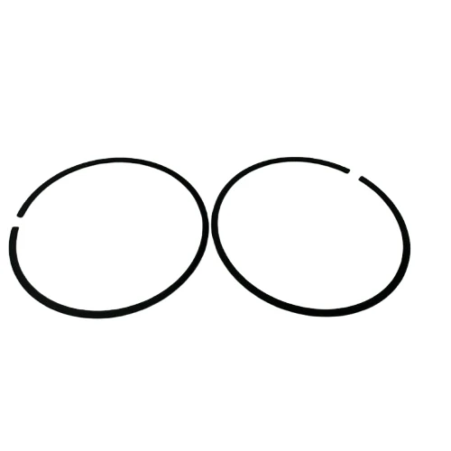 Gazlı Çivi Çakma Tabancası Pistonu Segmanı TRUSTY GCN40 - Resim 3