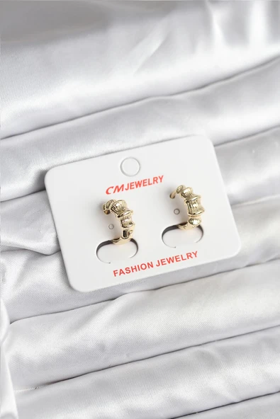 14K Gold Renk Kaplama CM Kadın Küpe - TJ-BKP11403 ürün görseli 1