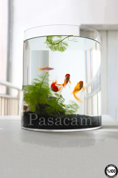 Delizli El Imalati 15 Cm X 20 Cm Akvaryum El Işciliği Silindir Vazo Cam Ps20 Kalın Taban - Resim 3