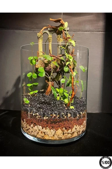 Delizli El Imalati 15 Cm X 20 Cm Akvaryum El Işciliği Silindir Vazo Cam Ps20 Kalın Taban ürün görseli 1