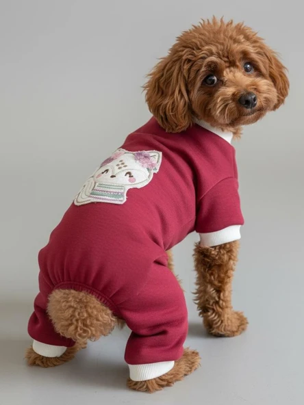 Ruby Foxie Köpek Tulumu – Küçük Irklar İçin Kışlık Köpek Pijaması ürün görseli 1