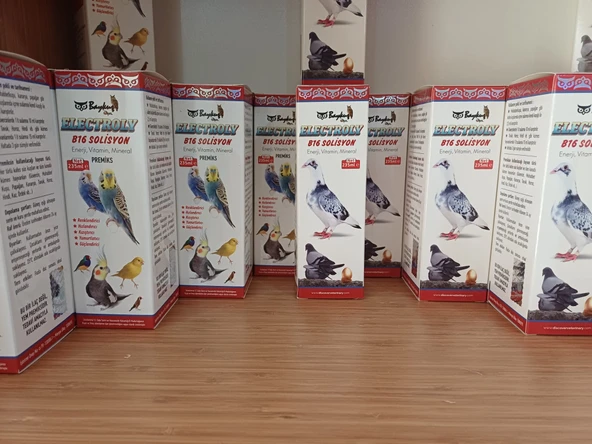 ELECTROLY B16 SOLİSYON ürün görseli 1