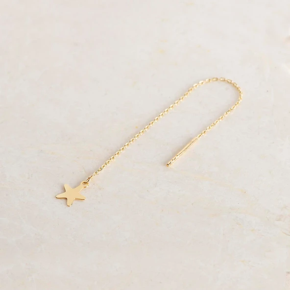 14 Ayar Altın Yıldız Sallantı Zincir Tek Küpe 0,62 gr ürün görseli 1