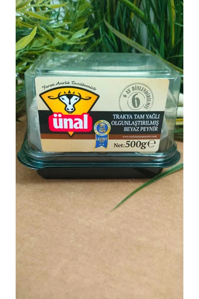 Ünal tam yağlı beyaz peynir 500 gr x2 ürün görseli 1