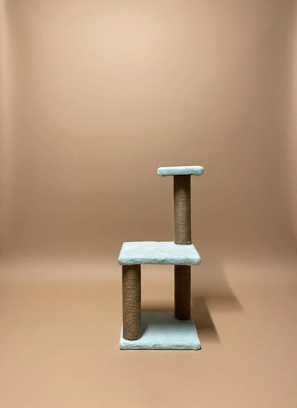 KATLI YAVRU KEDİ TIRMALAMA - Resim 2