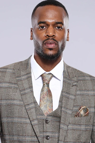 Kareli Slim Fit Bej Erkek Ceket - Wessi - Resim 2