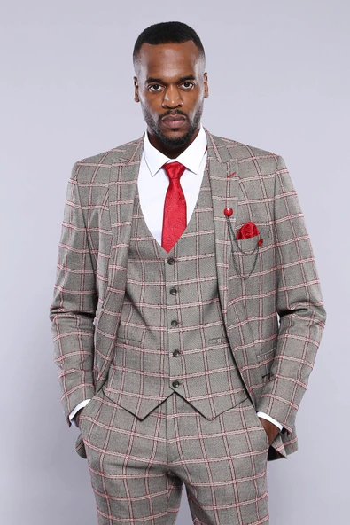 Ekose Desenli Slim Fit Gri Erkek Ceket - Wessi - Resim 4