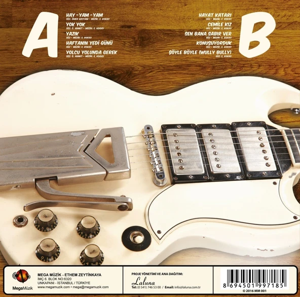 Erkin Koray  Hay Yam Yam - Plak - Resim 2