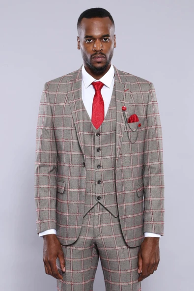 Ekose Desenli Slim Fit Gri Erkek Ceket - Wessi - Resim 2