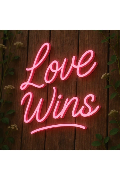 Magnetfoto Love Wins yazılı neon tabela 40x40 pembe ürün görseli 1