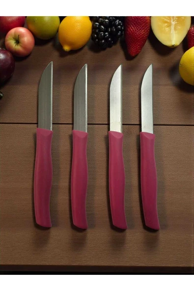Gül Çelik 12 Li Paslanmaz Çelik Sebze Ve Meyve Bıçağı Pembe ürün görseli 1