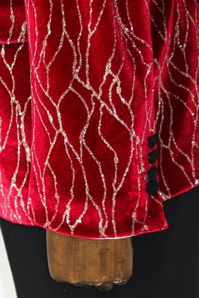 Gümüş Desenli Bordo Erkek Smokin Ceketi - Wessi - Resim 7