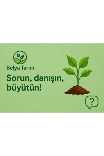 Organik Katı Gübre - Resim 3