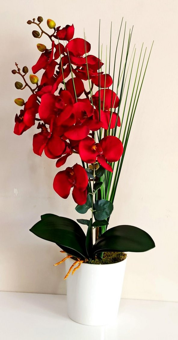 Beyaz Seramik Saksıda Kırmızı Yapay Orkide Çiçeği
