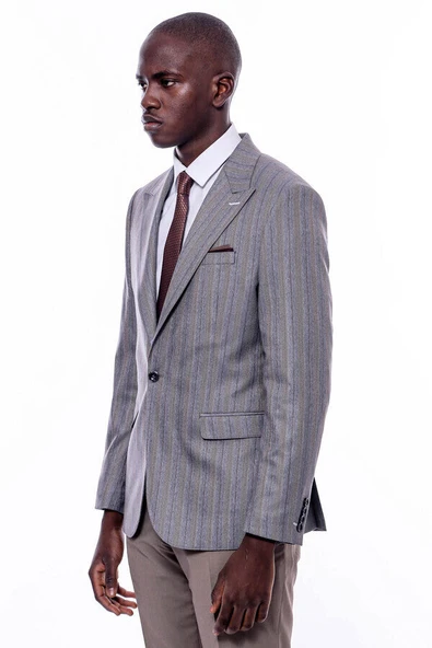 Ekose Çizgili Slim Fit Gri Erkek Ceket - Wessi - Resim 7