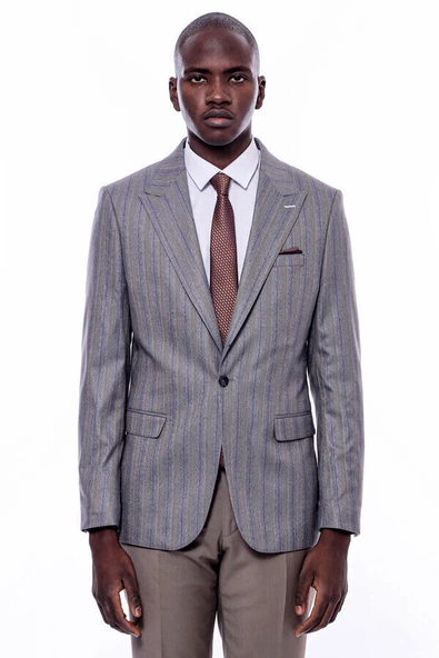 Ekose Çizgili Slim Fit Gri Erkek Ceket - Wessi - Resim 6