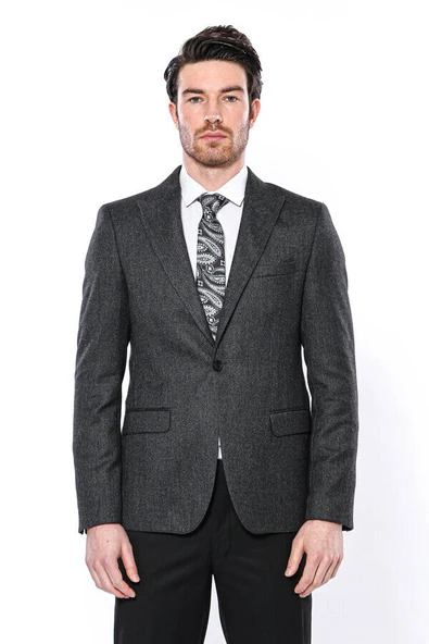 Sivri Yaka Tek Düğme Füme Slim Fit Ceket - Wessi - Resim 5