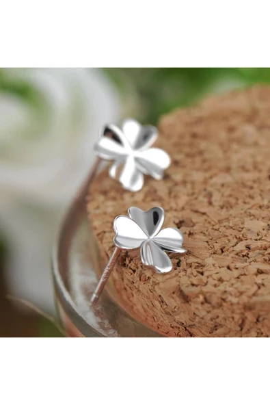 925 Ayar Yonca Tasarımlı Gümüş Küpe Hediyelik - Resim 3