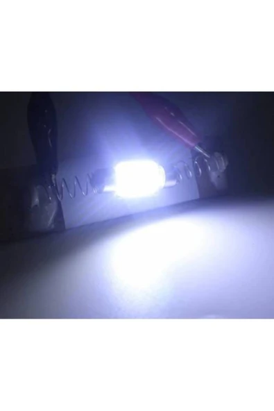 3 Adet 12 Çipli Led Sofit Ampul 39mm (ARAÇ IÇİ TAVAN AYDINLATMA AMPULÜ) - Resim 2