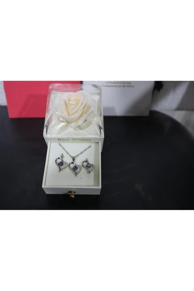 925 Ayar Gümüş Kalp İçinde Zirkon Taşlı Kolye Küpe Seti Sevgili Cüzdanı Sevgililer Günü Hediyelik - Resim 5