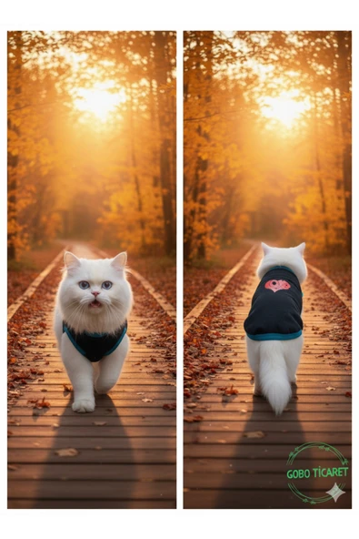 Gobo Love Desenli Kışlık Siyah Kedi Köpek Kıyafeti Elbisesi Medium/M/Beden 2 ürün görseli 1