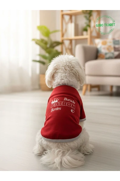 Gobo Burada Patron Benim Yazılı Kırmızı Kedi ve Köpek Kıyafeti Elbisesi XSMALL/XS/Beden 0 - Resim 3