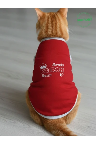 Gobo Burada Patron Benim Yazılı Kırmızı Kedi ve Köpek Kıyafeti Elbisesi Medium/M/Beden 2 - Resim 4