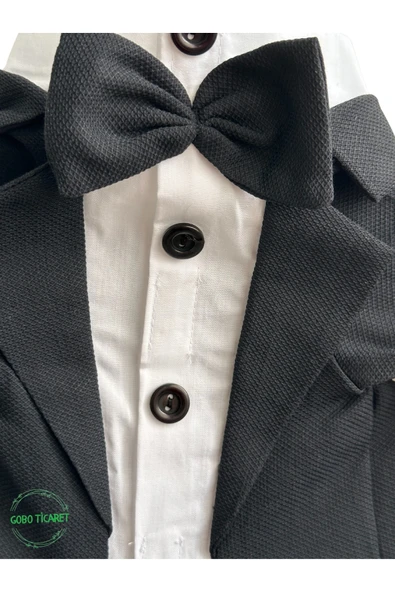 Gobo Siyah Papyonlu Smokin Damatlık Kedi ve Köpek Elbisesi Kıyafeti Takım Elbise XXLarge/XXL/Beden 5 - Resim 7