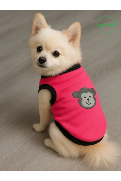 Goboticaret Beyaz Maymun Aplikeli Farklı Renklerde Kedi Köpek Kıyafeti Elbisesi ürün görseli 1