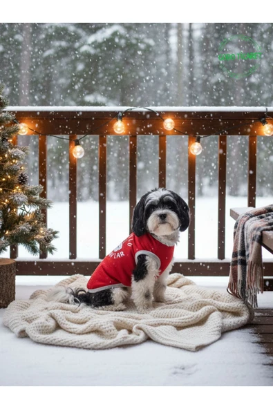 Gobo MUTLU HAV HAV'LAR Yılbaşı Temalı Kedi ve Köpek Kıyafeti Elbisesi Yeni Yıl Tasarım Medium/M/Beden 2 ürün görseli 1