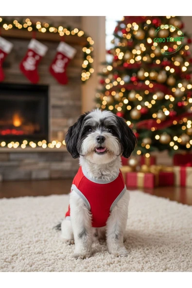 Gobo MUTLU MİYAV'LAR Yılbaşı Temalı Kedi ve Köpek Kıyafeti Elbisesi Noel Tasarımlı XSMALL/XS/Beden 0 - Resim 7