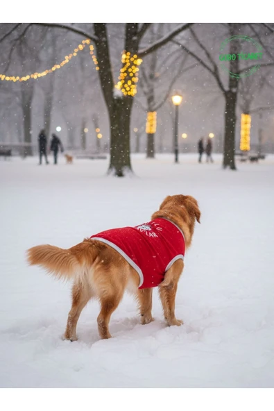 Gobo MUTLU HAV HAV'LAR Yılbaşı Temalı Kedi ve Köpek Kıyafeti Elbisesi Yeni Yıl Tasarım Medium/M/Beden 2 - Resim 5