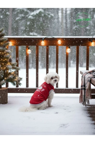Gobo MUTLU HAV HAV'LAR Yılbaşı Temalı Kedi ve Köpek Kıyafeti Elbisesi Yeni Yıl Tasarım Medium/M/Beden 2 - Resim 4