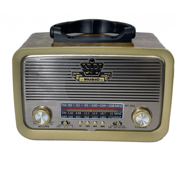 Everton RT-301 Ahşap Bluetooth Nostalji Şarjlı 3 Band Radyo usb sd Aux mp3 player düz ahşap - 3