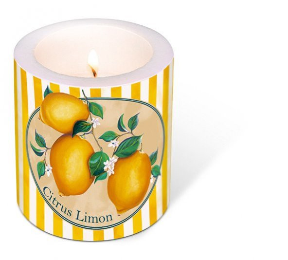 Citrus Limon Mum