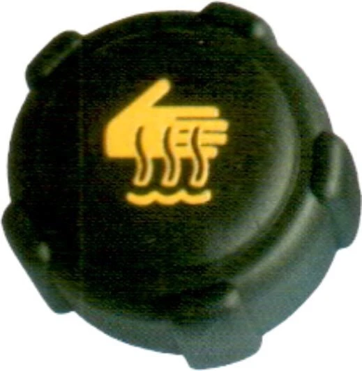 KAYA PLASTİK GENLEŞME KAVANOZ KAPAĞI Y.M. RENAULT CLIO KANGOO MEGANE DACIA LOGAN ürün görseli 1