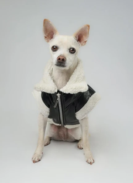 Joyline Fermuarlı Kürklü Deri Köpek Kıyafeti Siyah Large ürün görseli 1