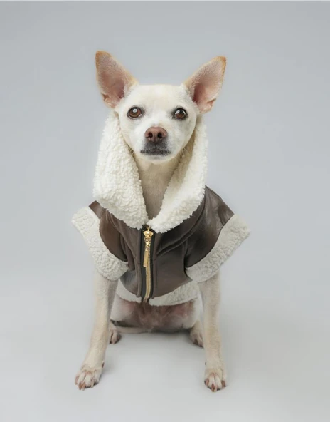 Joyline Fermuarlı Kürklü Deri Köpek Kıyafeti Kahverengi Small ürün görseli 1
