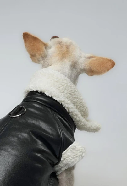 Joyline Fermuarlı Kürklü Deri Köpek Kıyafeti Siyah Large - Resim 4