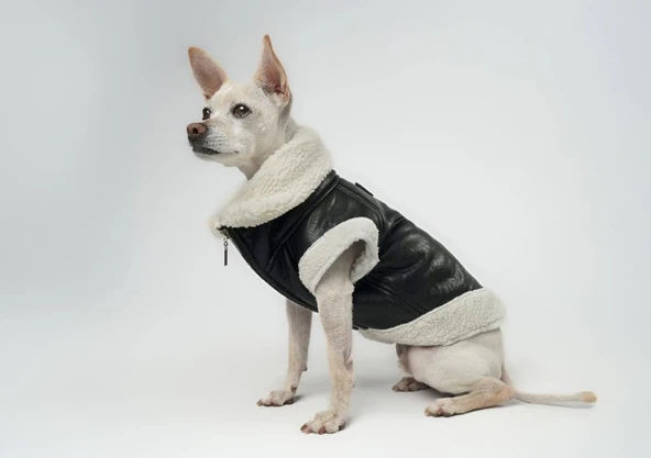 Joyline Fermuarlı Kürklü Deri Köpek Kıyafeti Siyah Large - Resim 2