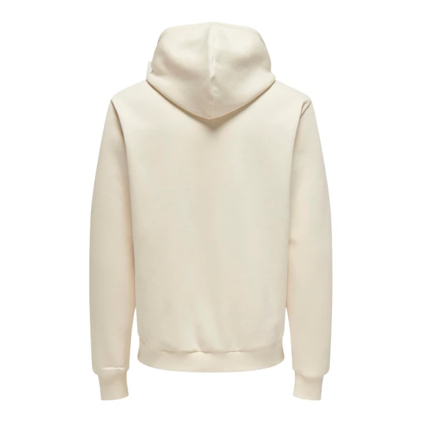 Kapüşonlu Erkek Sweatshirt 22030626 - Resim 3