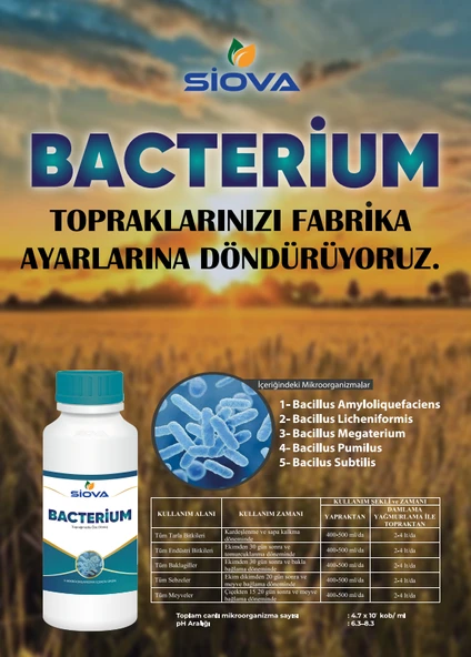 Siova Bacterium Mikrobiyal Gübre 1Lt - Resim 5
