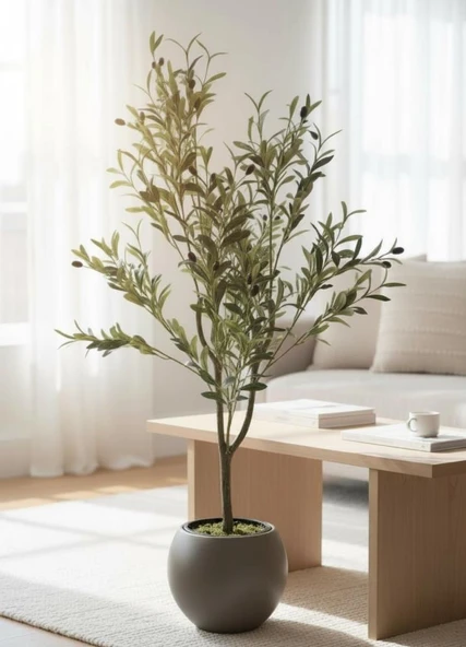 Yapay Zeytin Ağacı Mokka Küre Saksıda 120cm Doğal Görünümlü Yapay Ağaç - Resim 4